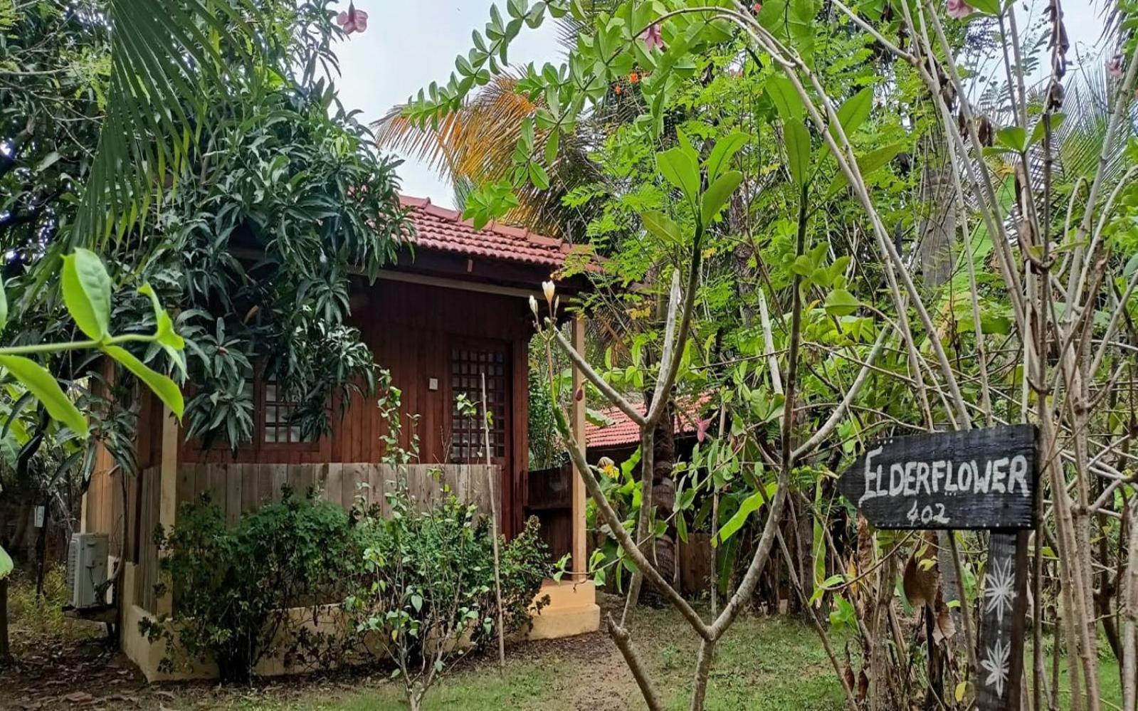 Jamboree Creek Yoga Mandrem Exterior photo